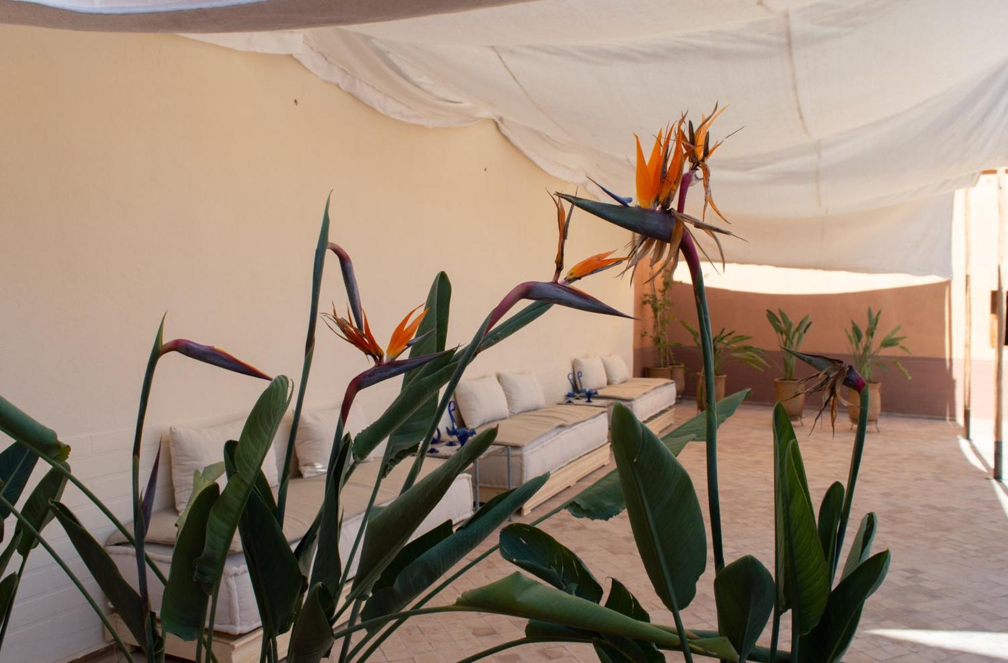 Ferme D'Hote Zomorroda Marrakesh Exterior foto